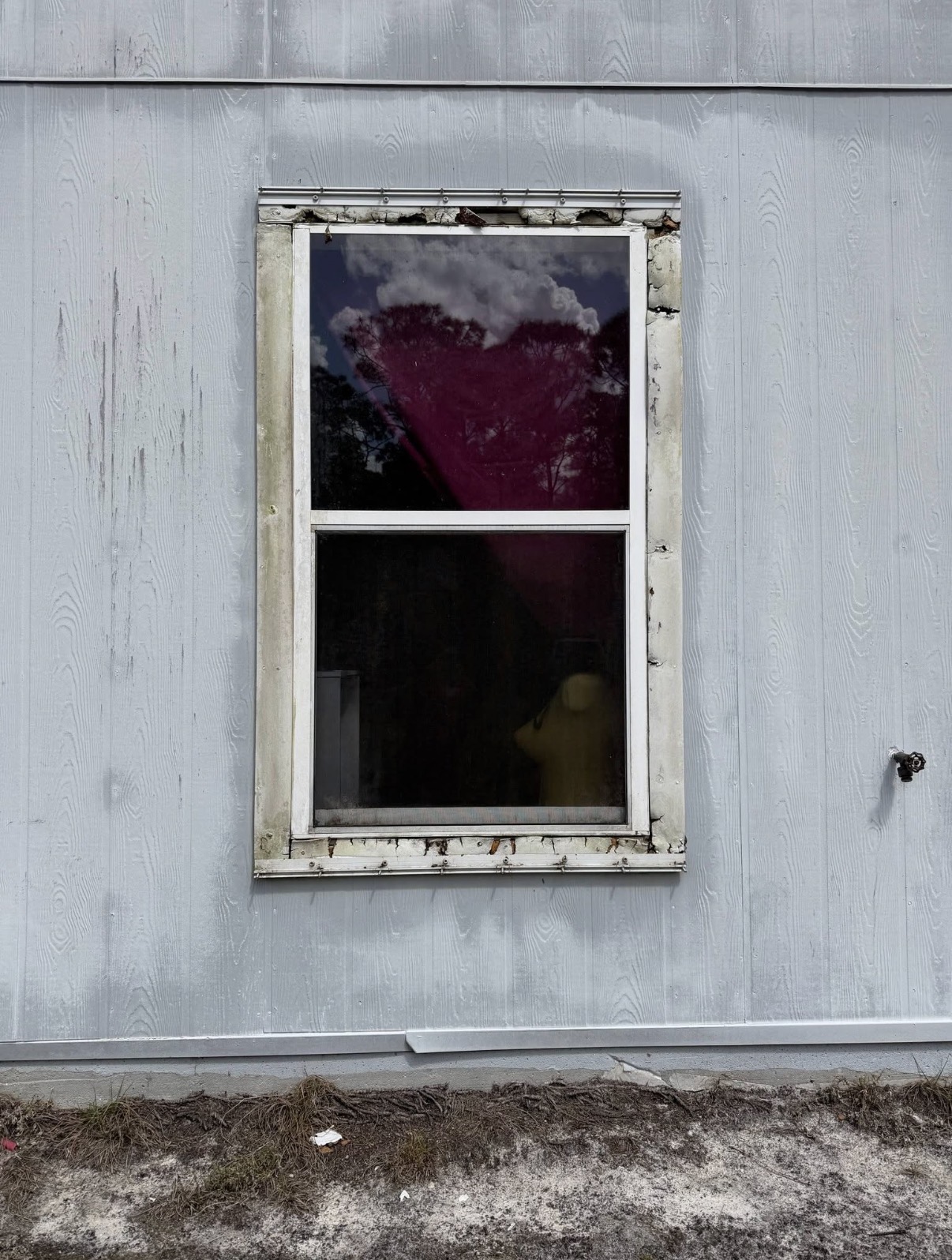 Window Trim Replacement before